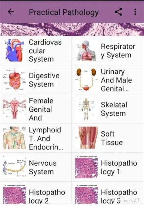 医学 的图像结果