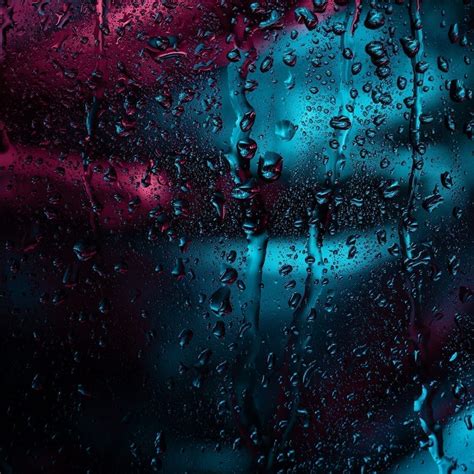 Le Youth teams up with Adam Rom on new single ‘Obvious’ • feeder.ro