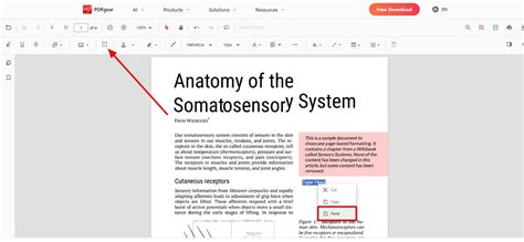 Image result for How to Copy and Paste a PDF Using Windows HP