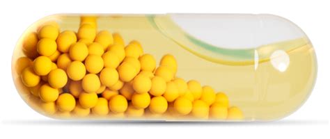 Slow Multi Omega for Her - Buy Best Multivitamin for Women | Wellbeing ...