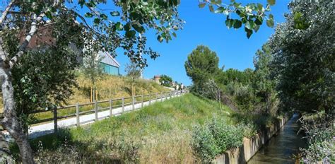 El AMB concluye la mejora del río Llobregat en Sant Boi, Sant Vicenç ...