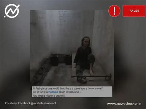 Fact Check: Photo From Vietnam Museum Shared As Horrific Conditions At ...