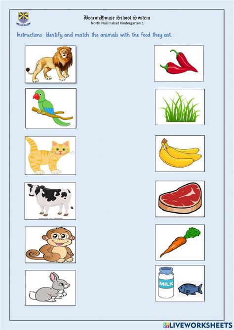 Animal Food 的图像结果