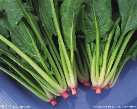 菠菜大全