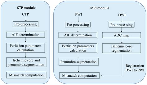 Comparison of Two Software Packages for Perfusion Imaging: Ischemic ...