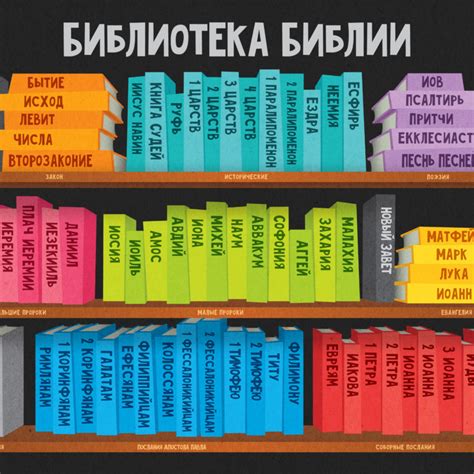 Библиотека Библии – Sulamita
