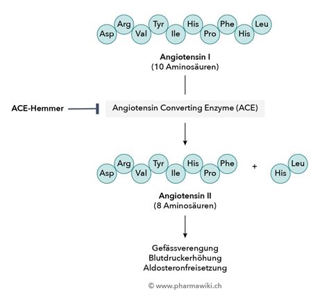 Bildergebnis für sacubitril wirkmechanismus