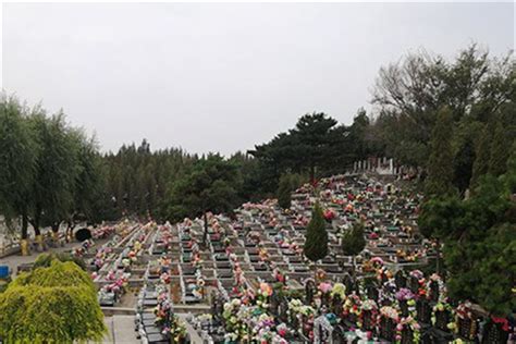 沈阳天山公墓2022年最新价格表-沈阳天山墓园【官网】