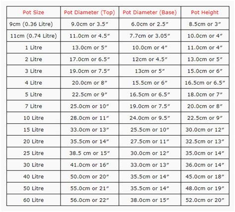 Plant Container Size Chart