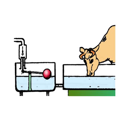 牲畜自动饮水机运用了什么物理原理_百度知道