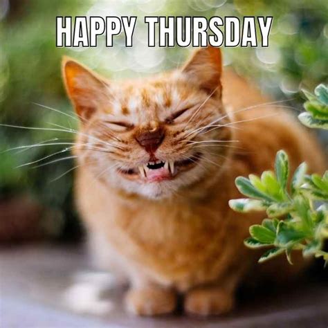 Happy thursday - Artofit