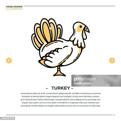 846 Drawings Of Turkeys Stock Photos, High-Res Pictures, and Images ...