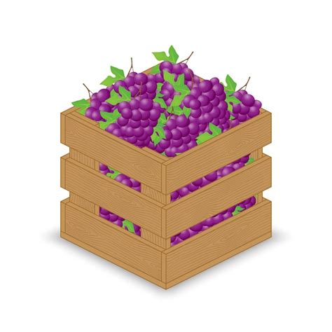 Raisins bleus rouges pourpres dans une caisse en bois | Vecteur Premium