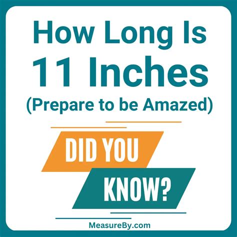 How Long Is 11 Inches? (25 Common Examples)