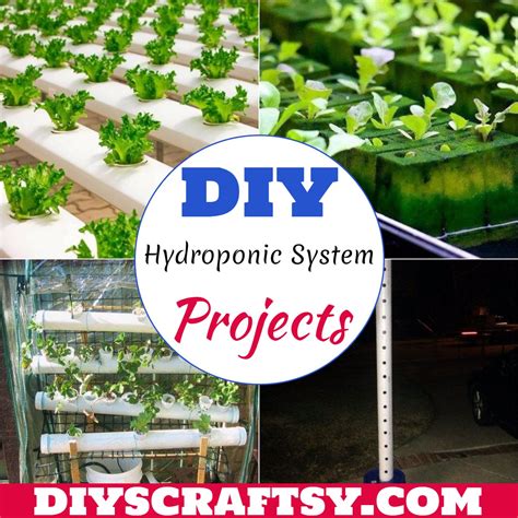 Cheap Diy Hydroponic System at Carolann Ness blog
