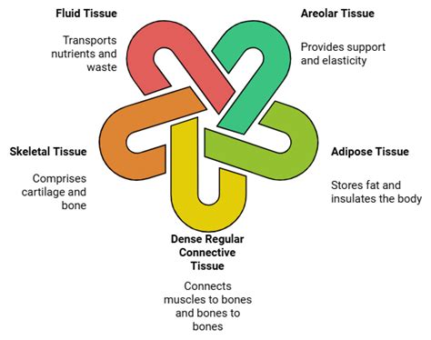 Tissues Class 9 Notes Science Chapter 6 Free PDF