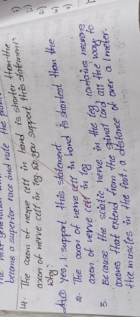 The axom of nerve cett in Hand is shorter Hon the axon of nerve cett in ...