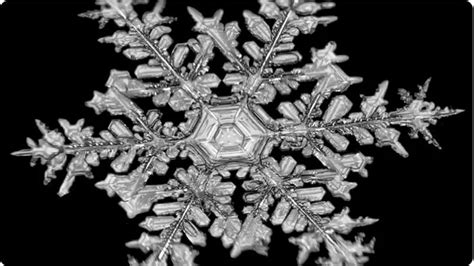 Image result for Snowflake Formation Process