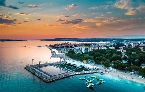 Image result for Bizarre Discoveries