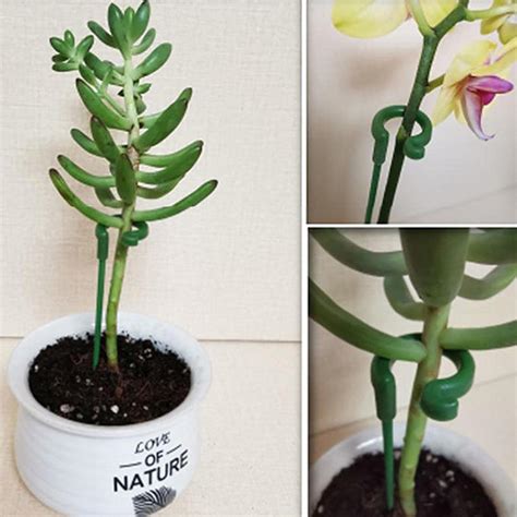 Buy 1 Pack Plant Stakes for Flowers, Metal Single Stem Plant Support ...