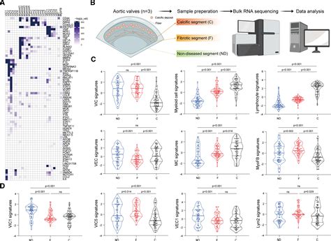 Cellular Landscapes of Nondiseased Human Cardiac Valves From End-Stage ...