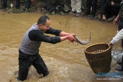 男人梦见抓了一条大鱼什么意思 男人梦见抓了一条大鱼预示什么 - 万年历