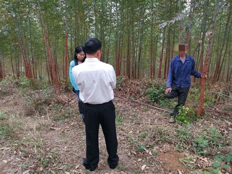 建设项目使用林地审核审批管理办法-岳阳市林业局