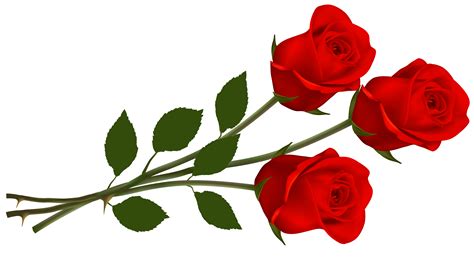 A red rose clipart 21 free Cliparts | Download images on Clipground 2026