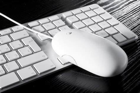 Image result for Input Devices for a Computer
