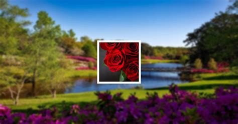 Obituary | Carolyn Gail Barbee of Alabama | Hanceville Funeral Home