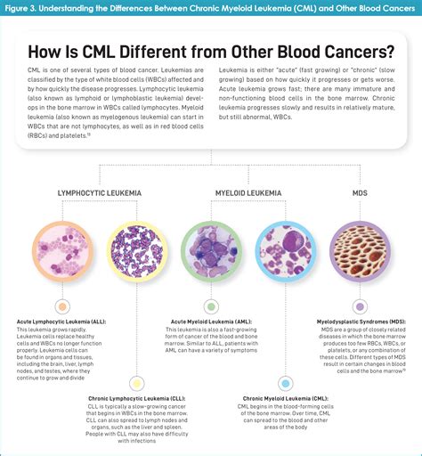 Chronic Leukemia Cells