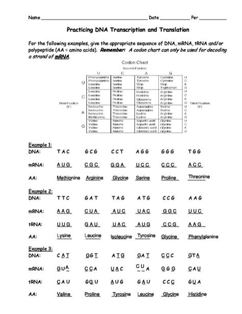 DNA Simulation Worksheet 的图像结果