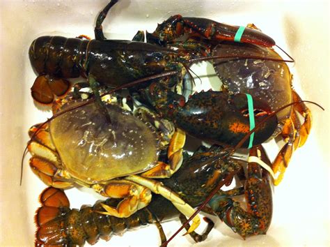 Food Sparks: A Christmas Feast of Crabs and Lobsters