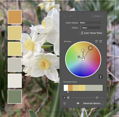 Color Palette For Illustrator