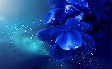 Home Screen Blue Roses Wallpaper by Blue Wallpapers Wallpaper Cave Home Screen Blue Roses Wallpaper