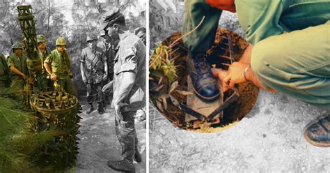 Vietnam Jungle: The Dangerous Snakes, Animals and Traps US Troops ...