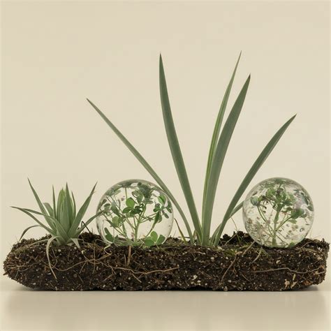 How Plants Manage Waste Materials: The Secret Life Of Botany