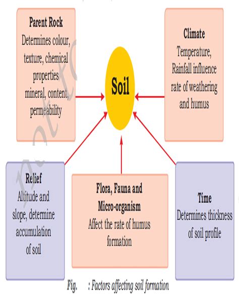 How Climate Affects Soil Formation: A Naturedriven Process