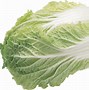 Image result for Piece of Lettuce