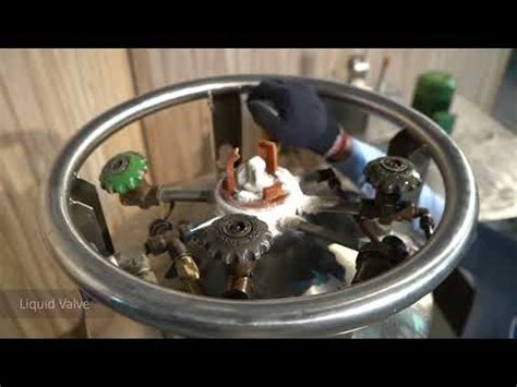 Liquid Nitrogen & Cryogenic Containers - Ibp Cryocan Liquid Nitrogen ...