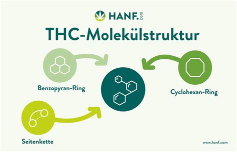 Was ist THC? – Definition, Wirkung & medizinische Nutzung
