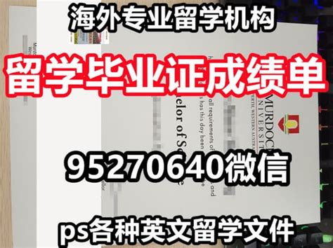 学位证书下载学历代办硕士 | PPT