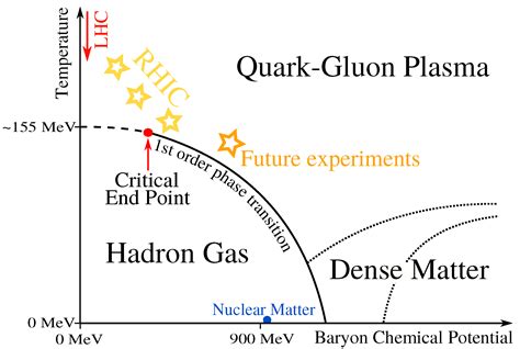 Quark Gluon Plasma Phase Diagram