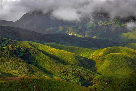 Safari at Dzukou Valley: Tigers, Reserve & Guide 2026
