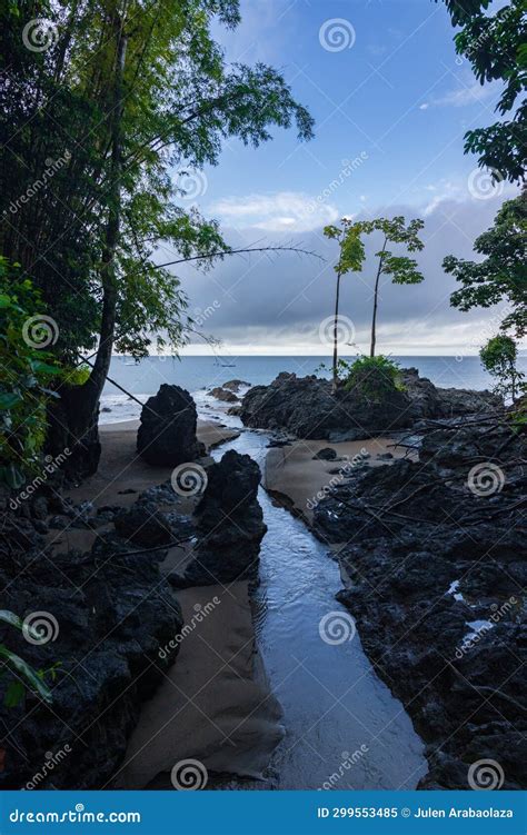 Beach and Forest of Drake Bay (Costa Rica) Stock Image - Image of rica ...