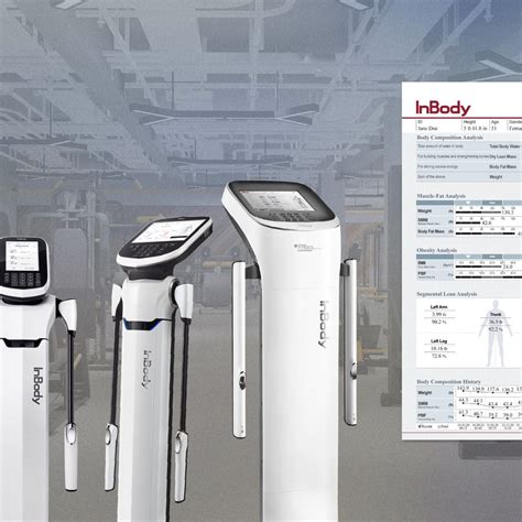 What is the InBody Test? & How to Read Your InBody Scan Results – Wellness Terminal