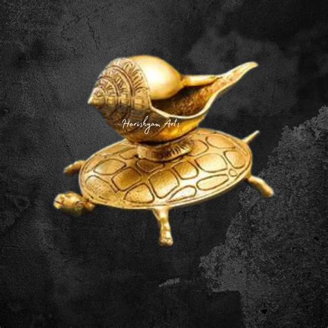 Tortoise Serenade Brass Conch Harmony