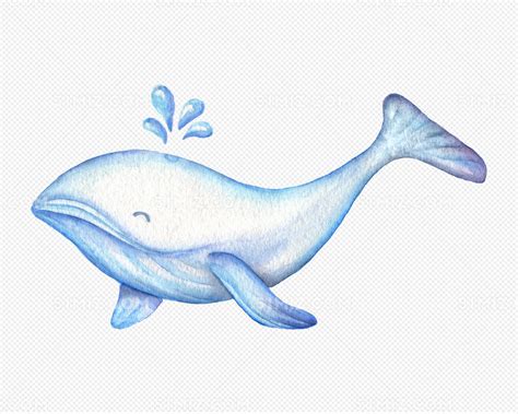 梦幻鲸鱼插画图片下载-正版图片400081634-摄图网
