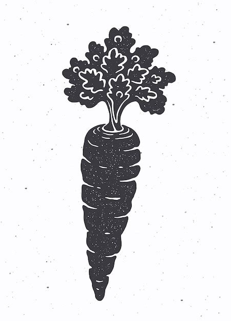 Silhouette de carotte avec une tige de feuilles Illustration ...