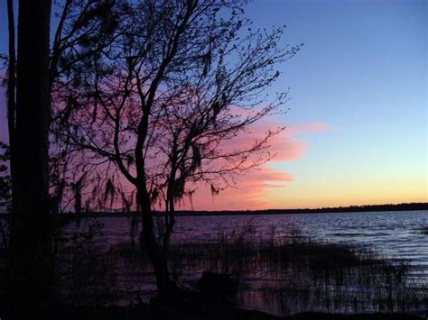 Ocean Pond Campground Florida: Camping by the Water